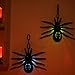 Decoraciones De Araña para Halloween Imagen de Decoraciones De Araña para Halloween