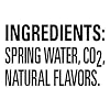 Poland Spring Sparkling Water, Pomegranate Lemonade, 16.9 oz. Bottles (Pack of 8)