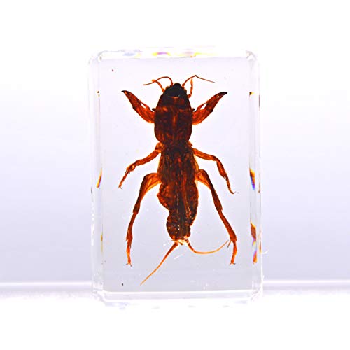 [W{쏊] W{ IP A^Cv u///{///ώ@////AN/W