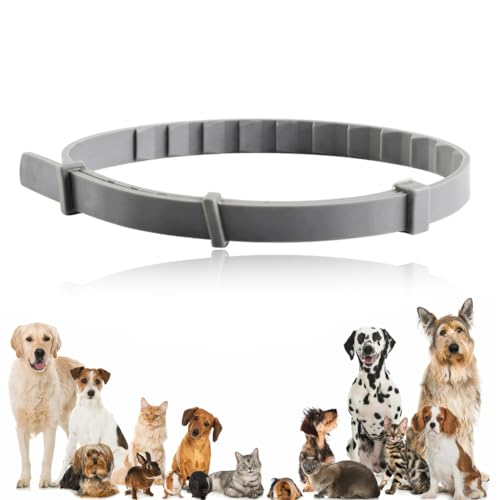 Zeckenhalsband – Natürliches Ätherisches Öl, Zeckenhalsband für Hunde klein, 8 Monate Schutz – Sicher mit Pflanzlichen Inhaltsstoffen