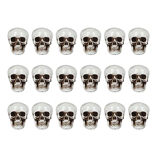 Alipis Halloween Mini Skull Heads Réalistes Faux Squelettes en Plastique de Crâne Humain Tête pour Une Farce de Fête Hantée 18Pcs 18Pcs Cover