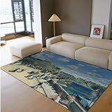 Facile à ranger et à déplacer: Ce tapis se plie aisément pour le rangement ou le déplacement dans une autre pièce. Les plis se lissent rapidement à plat. Léger et flexible, il est idéal pour ceux qui redécorent fréquemment