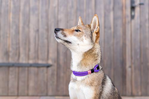 Wau-Effekt Tauhalsband für Hunde - 100% Handarbeit - Halsband - Halsung aus robustem Segeltau mit Biothaneverschluss (S, Lila - Dunkelblau Rosa)