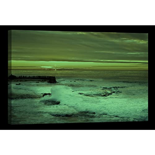 Tableau toile Nature DCL325-2 phosphorescent grand format 80x120 cm