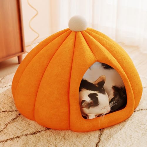 [Cm] ybgnEX h[ xbh LnEX Lpxbh ~p NbVt ybgxbh ^ q  K _炩 g S Q ~ ۉh 􂦂 ybgpi ʔN IW Aj} 킢 薰