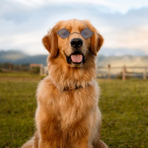 Gafas para Perro de Plástico en Forma de Diamante, 2 piezas miniatura 5