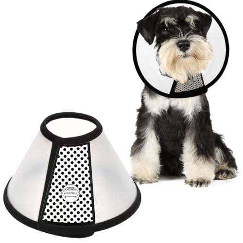 AFCJLTO 1pcs Cône Collerette en Plastique Protecteur de Cou Réglable,Anti-Morsure Protection Cône Collerettes adatto a gatti di peso compreso tra 5 e 7 kg o cani di piccola(27-31cm)