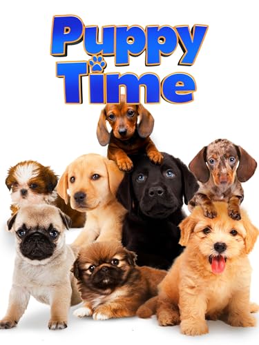 Puppy Time