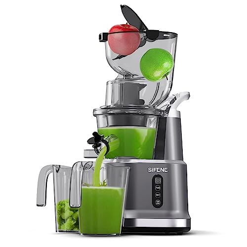 Best Masticating Juicers Canada Best Cost