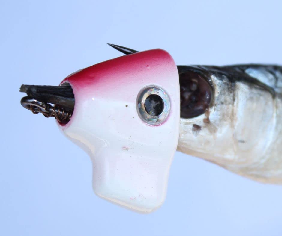 Buy TROLLTRUE Offshore Trolling Lures Easy, Fast, and Consistent Way