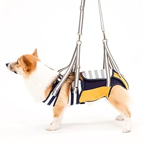 犬用ハーネス - Amazon.co.jp