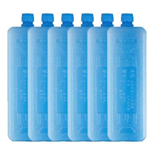 Genérico 6 Piezas Bolsas de Hielo para Congelador | Placas Hielo Neveras Portatil | Acumulador De Frio | Ice Pack para Viajar y Acampar, Picnic, Mantiene Fríos Alimentos