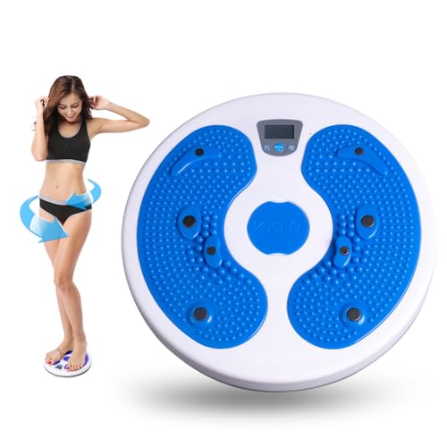 KYTO Waist Twister Disc