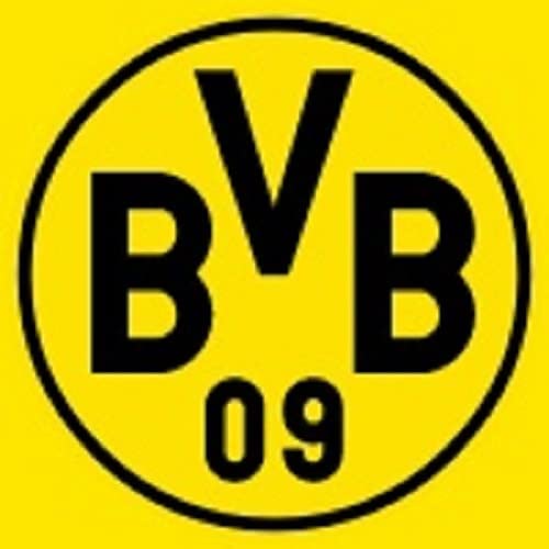 Borussia Dortmund, BVB-Kissen Südtribüne, Mehrfarbig, 40x40cm, 1 Stück (1er Pack)