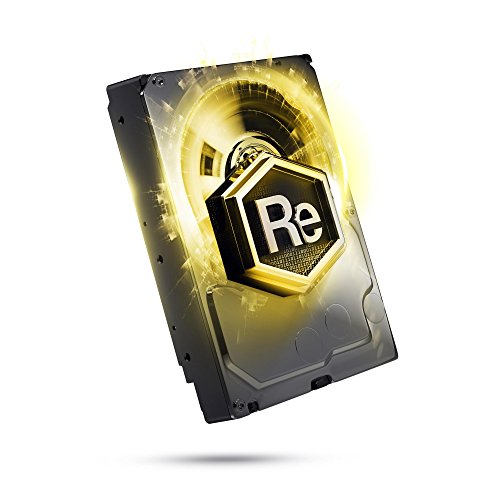 WD RE Entreprise WD1003FBYX Disque dur interne 3.5'' SATA II 7200 tours/min Mémoire cache 64Mo 1 To