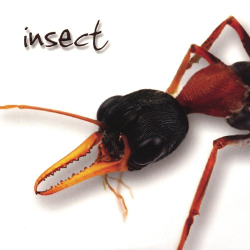 Amazon.com: Insect : Insect: Digital Music