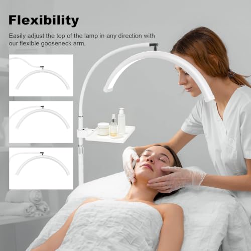 Image of Half Moon LED Floor Light with Tool Tray for Lash Techs, Eyelash Extensions, Estheticians, Skincare, Nail Art, Tattoo Artists, Home & Office - Professional Shadow-Free Lamp | Dimmable (White)