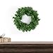 Canadian Pine Small Artificial Christmas Wreath - 12