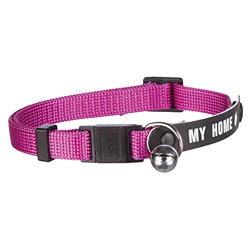 Los mejores collares de gato personalizados