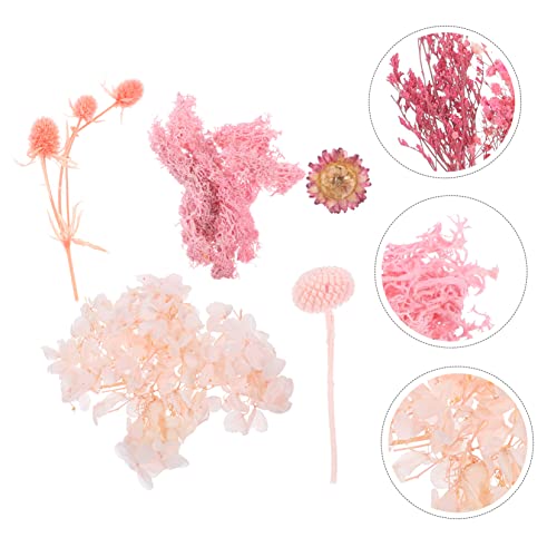 EXCEART 5 Conjuntos De Molduras Para Fotos De Imortalidade De Flores Secas Flores Naturais Plantas R