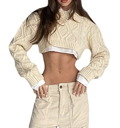 FeMereina Women Y2K Cropped Knitted Sweater Solid Color Crewneck Cable Knit Chunky Long Sleeve Crop Pullovers TopKnit Hollow Out Jumper Tops (Creamy, M)