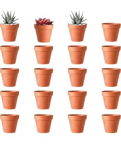 ACTIUSIS Macetas de Barro, Mini Maceta, Terracota con Orificio de Drenaje, 20 Unidades (4,5 × 4 cm), Maceta Reutilizable, para Plantas Interiores y Exteriores, Plantas suculentas de casa