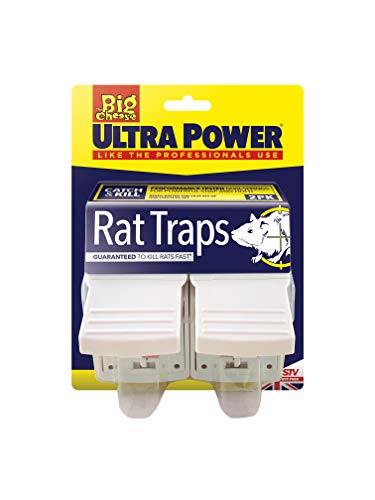 STV International The Big Cheese armadilha para rato, branco