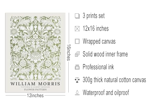 Aglcatie William Morris Wall Art Set of 3, Green Botanical Floral Gallery Wrapped Canvas Prints, Vintage Flower Market Pictures for Living Room, Bedroom or Office, 12 x 16 Inch by Aglcatie - Used condition - Image 6