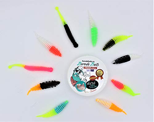 pro-bite Boroda Baits Softbait Ayra/Mila Neo/NEUHEIT 2020 / Mixed Colours mit Käse- Aroma/Inhalt: 10 Stück