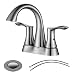 PARLOS Bathroom Faucet Two-Handle Centerset Design with Pop-up Drain and Faucet Supply Lines, Brushed Nickel,Demeter 13625