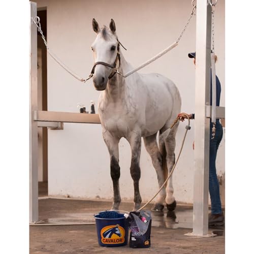 Cavalor Equi Wash champú de 500 ml con fórmula de limpieza profunda e hidratación 6