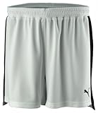 PUMA Damen Evospeed Indoor Shorts, White/Black, M, 701608 04