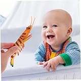 Toyvian Deko-Garnele Modell wie echt – Detailgetreue Simulation Meeresfrüchte Pädagogisches Naturkunde Spielzeug für Schule Kindergarten Robustes Kunststoff Tierfigur Set für Sammler Meeres-Deko
