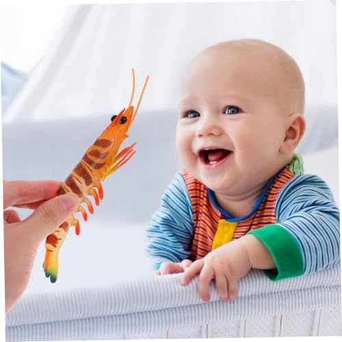 Toyvian Deko-Garnele Modell wie echt – Detailgetreue Simulation Meeresfrüchte Pädagogisches Naturkunde Spielzeug für Schule Kindergarten Robustes Kunststoff Tierfigur Set für Sammler Meeres-Deko
