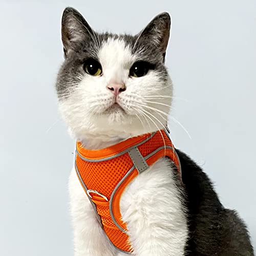 Joytale Step in Dog Harness,Soft Mesh Reflective Breathable Vest Harnesses,Easy Walk Harness with Safety Buckle for Cat,Puppies and Extra Small Dogs,XXS,Orange - Image 2