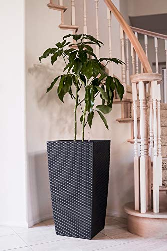 Xbrand 30'' H Black Rattan Self Watering Indoor Outdoor Square Planter Pot, Tall Decorative Gardening Pot, Home Decor Accent, Swplanterbk28 #TOP26