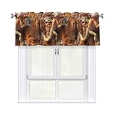 Photo Gallery whjssf gecko rock climbing prints tenda con asta corta, 137,2 x 45,7 cm per la maggior parte delle aste per tende standard o decorative, per cucine, bagni, lavanderie Photo Gallery whjssf gecko rock climbing prints tenda con asta corta, 137,2 x 45,7 cm per la maggior parte delle aste per tende standard o decorative, per cucine, bagni, lavanderie