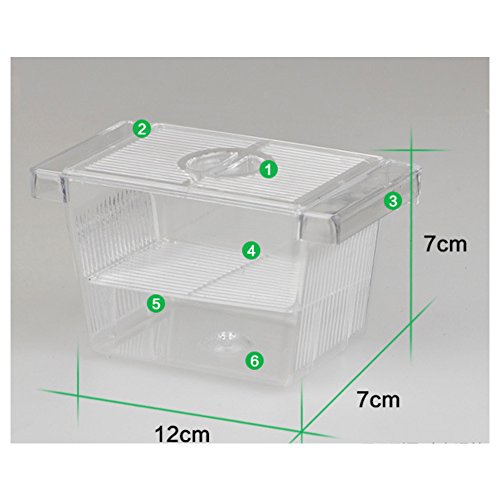 Yinong S/M opbergbak van plexiglas viskweek isolatie box (12 x 7 x 7 cm) - Afbeelding 6