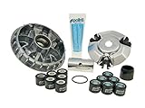 Variomatik Polini Maxi Hi-Speed für Honda SH 125i 4T 09-12 JF23
