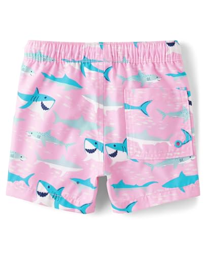 Image of Gymboree Boys and Toddler Swim Trunks