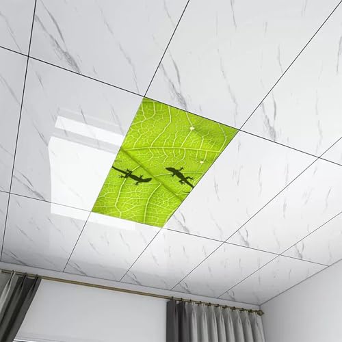 Image of 2Pcs Gecko Fluorescent Light Covers for Ceiling Lights Classroom, Magnetic Light Filters for Office, Hospitals, Home 4 X 2 Feet