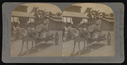 HistoricalFindings Photo: A Load of Sugar from a Sugar Estate, St. Kitts, B. W. I. 1905