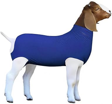 Royal Blue Spandex Goat Tube Medium - Essential Show Goat Supplies for 4-H & FFA - Breathable Fleece Protector & Conditioning Cover - Keeps Hair Clean & Smooth During Transportblue, Medium