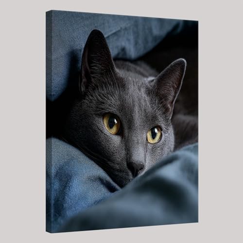 Gris Oscuro Foto Canvas Cuadro Animal Gato Negro 30 x 20 cm Pinturas Lienzo para Pared Decoración Hogar Lienzos Arte con Bastidor Sala Comedor Cocina Oficina