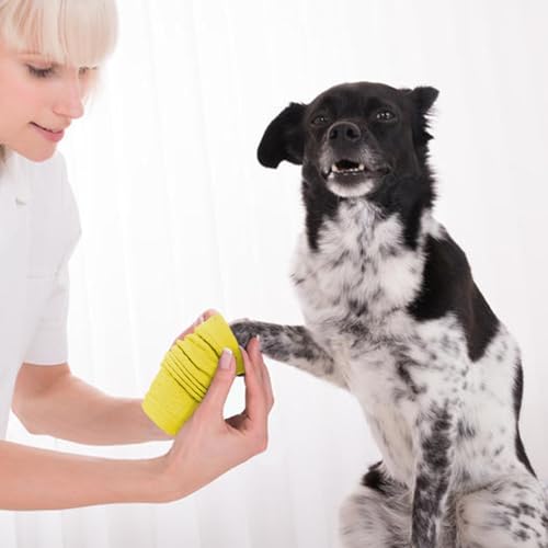 Image of ROZKITCH 4 PCS Dog Arm Sleeves for Licking Scratching Elbow Front Legs | Soft Knitting, Stretchy Fit Sleeves, Helps Reduce Licking, Dog & Cat Friendly, Easy to Wear, Daily Leg Coverage