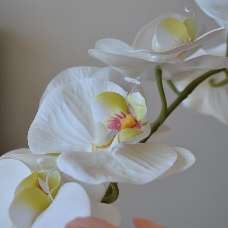 Orchidée Papillon Artificielle Fleurs artificielles Phalaenopsis