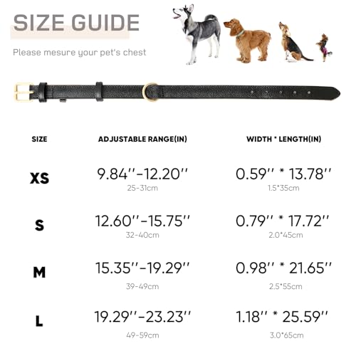 HEELE Hundehalsband, Halsband Leder mit gepolstert und echtes Leder, Verstellbar für Welpen Kleine Mittel Grobe Hunde, Schwarz, M