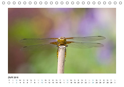 Faszinierende Libellen (Tischkalender 2018 DIN A5 quer): Dieser Kalender zeigt Ihnen die farbenprächtige Welt der heimischen Libelle. (Monatskalender, ... [Kalender] [Apr 07, 2017] Heufelder, Stefanie