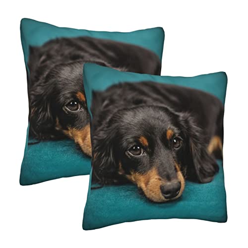 Pillow Covers Cases Black Long-Haired Dachshund Dog,Double-Sided Pattern Square Pillow Covers Sofa Cushion Covers 18"X18" Inch For Living Room (2Pcs) #TOP1