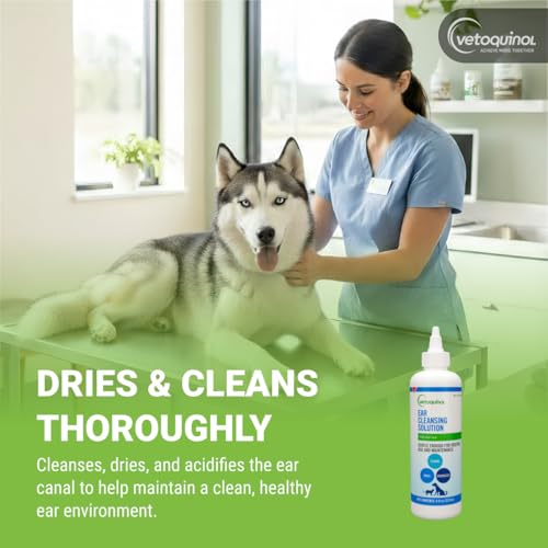 View 4